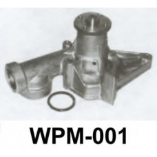 WPM-001 AISIN Водяной насос