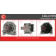 CAL15476<br />CASCO