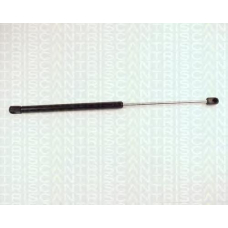 8710 65205 TRIDON Gas spring rear