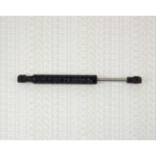 8710 15103 TRIDON Gas spring front