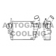 103011 AUTOGAMMA Интеркулер