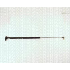 8710 13201 TRIDON Gas spring rear