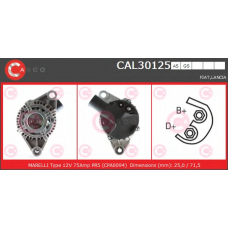 CAL30125GS CASCO Генератор