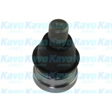 SBJ-4525 KAVO PARTS Несущий / направляющий шарнир