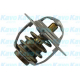 TH-9017<br />KAVO PARTS