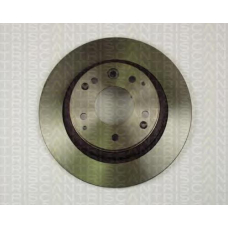 8120 40118 TRIDON Brake discs, rear