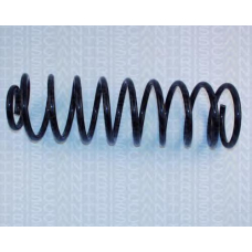 8750 2723 TRIDON Coil spring rear