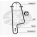 8647 40001 TRISCAN Комплект ремня грм