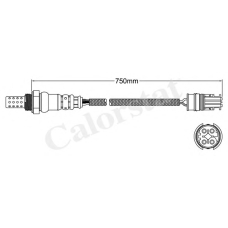 LS140549 CALORSTAT by Vernet Лямбда-зонд