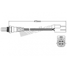 250-24453 WALKER Лямбда-зонд