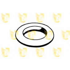 166007 UNIGOM Стопорное кольцо, глушитель