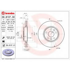 BV 8951 BRECO Тормозной диск