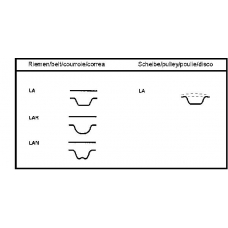 CT699 CONTITECH Conti synchrobelt®