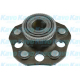 WBH-2037<br />KAVO PARTS