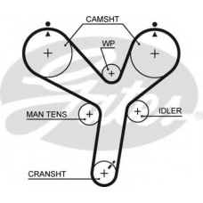 5536XS GATES Ремень ГРМ
