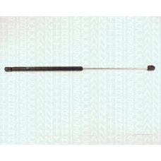 8710 16212 TRIDON Gas spring rear