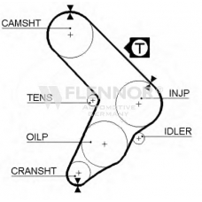 4976 FLENNOR Ремень ГРМ