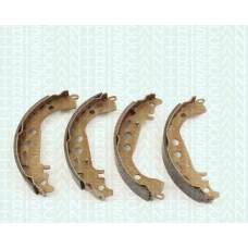 8100 13617 TRIDON Brake shoes