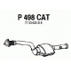 P498CAT