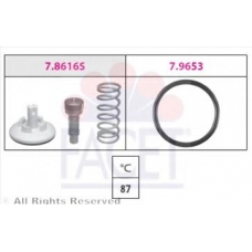 7.8616 FACET Термостат, охлаждающая жидкость