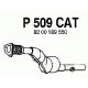 P509CAT