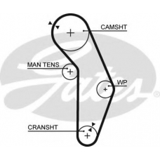 5352XS GATES Ремень ГРМ