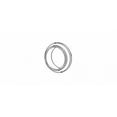 498319 ERNST Уплотнительное кольцо, труба выхлопного газа
