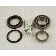 8530 25213 TRIDON Wheel bearing kit