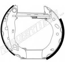 6267 TRUSTING Комплект тормозных колодок