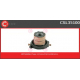 CSL35100<br />CASCO