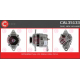 CAL35133<br />CASCO