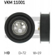 VKM 11001