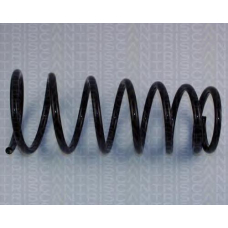 8750 1338 TRIDON Coil spring rear