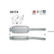 30174 AS Катализатор