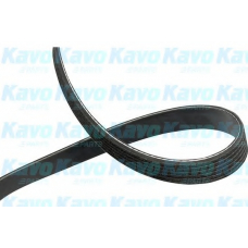 DMV-4023 KAVO PARTS Поликлиновой ремень