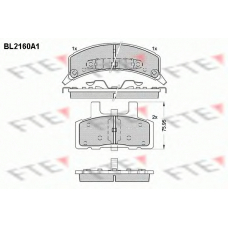 BL2160A1 FTE Комплект тормозных колодок, дисковый тормоз