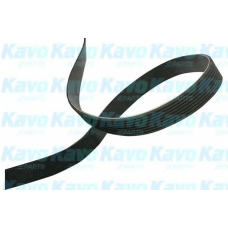 DMV-4533 KAVO PARTS Поликлиновой ремень