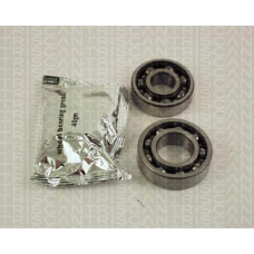 8530 41202 TRIDON Wheel bearing kit