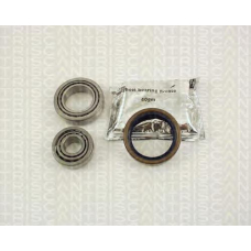 8530 23101 TRIDON Wheel bearing kit