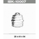IBK-10007