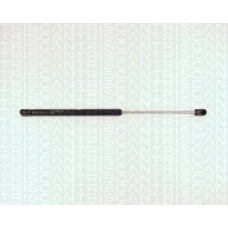 8710 15207 TRIDON Gas spring rear