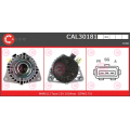 CAL30181GS CASCO Генератор