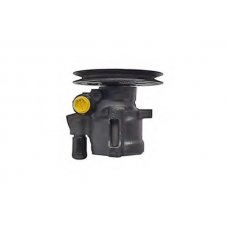 DP0557 DA SILVA Гидравлический насос, рулевое управление