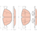 GDB1728 TRW Комплект тормозных колодок, дисковый тормоз