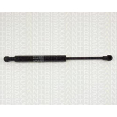 8710 24214 TRIDON Gas spring rear