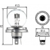 8GD 002 088-071 HELLA Лампа накаливания, основная фара; лампа накаливани