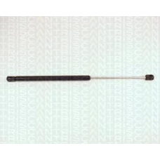 8710 2431 TRIDON Gas spring rear