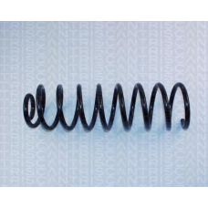 8750 2937 TRIDON Coil spring rear