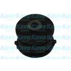SCR-3080 KAVO PARTS Подвеска, рычаг независимой подвески колеса