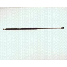 8710 17202 TRIDON Gas spring rear